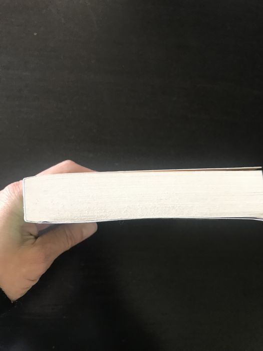 TSUNAMI, Robert Muchamore