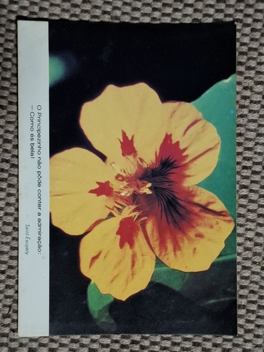 Postal do principezinho