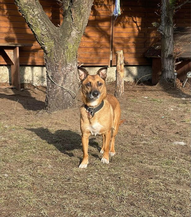 Mały Kacperek szuka swojego człowieka