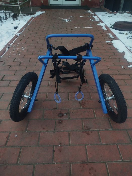 Инвалидная коляска для овчарки инвалидная коляска для собак