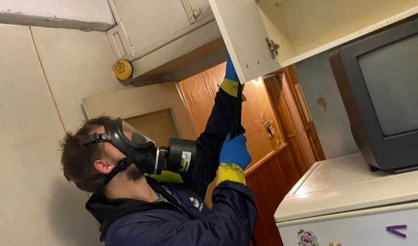 Обробка від тарганів, професійна дезинфекція дезинсекція дератизація