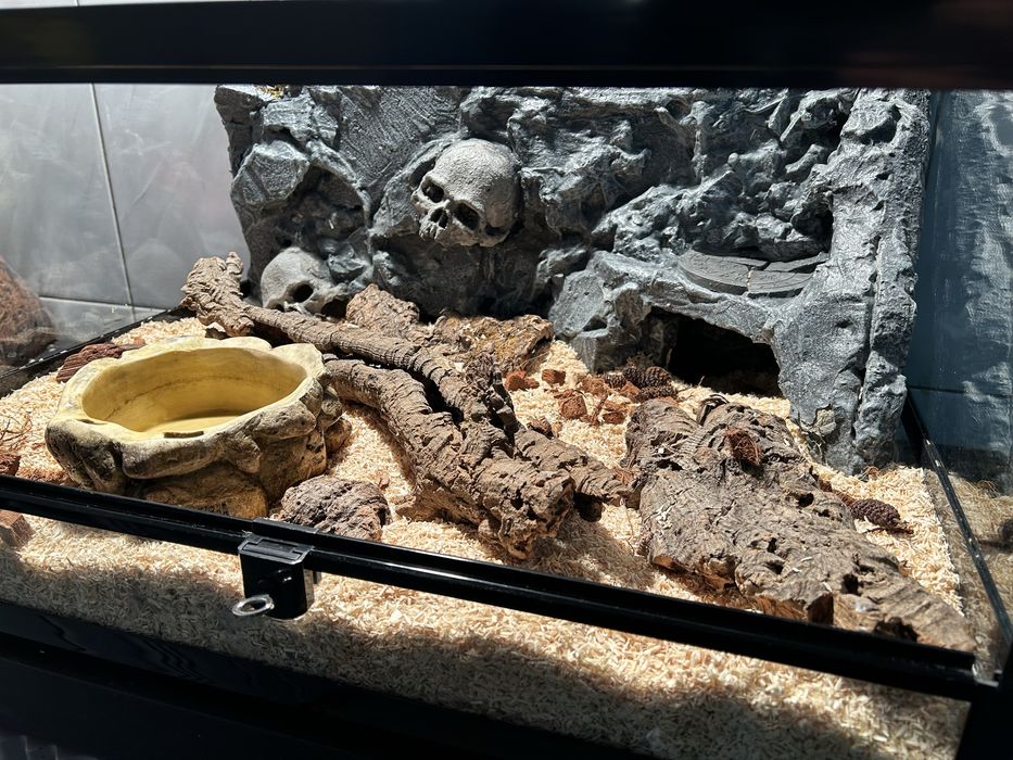 Sprzedam terrarium Repti-Zoo w komplecie ze ścianką