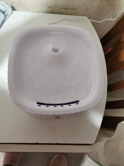 Fonte de água para animais