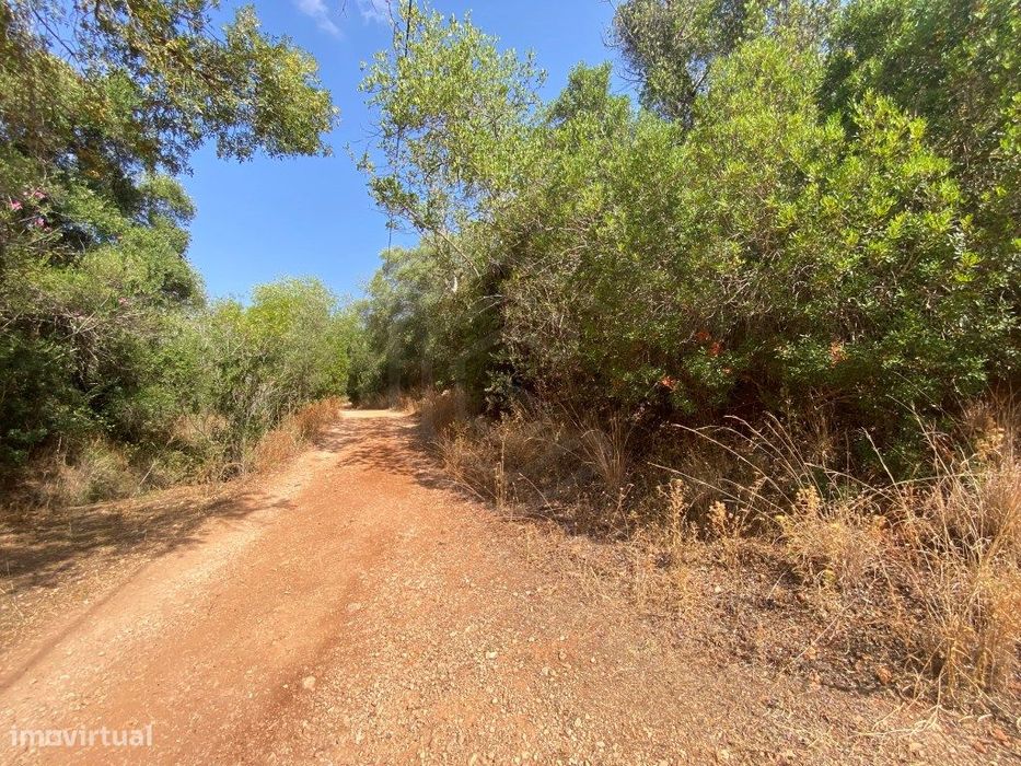 Lote de terreno rústico na Fonte da Benémola, Loulé, Algarve