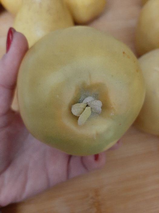 Pêras e Maçãs para decoração