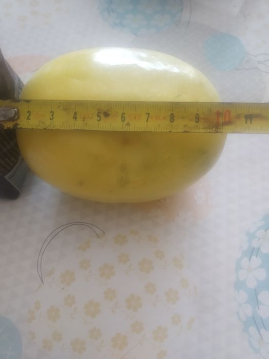 Plantas de maracujá  Melão