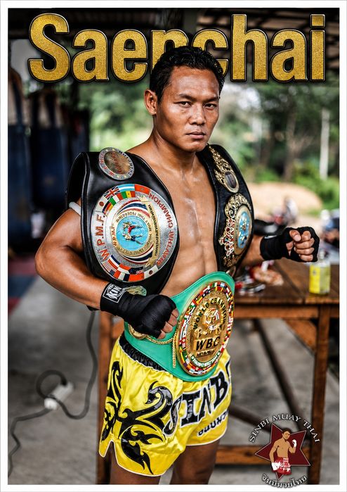 Posters novos Muay Thai