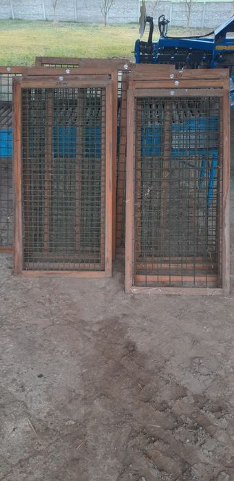 Sortownik do ziemniaków cebuli