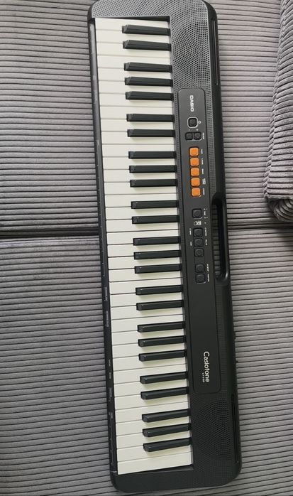 Casio CT-S100  keybord