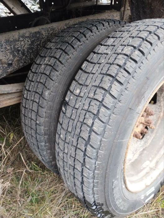 Газель тентована