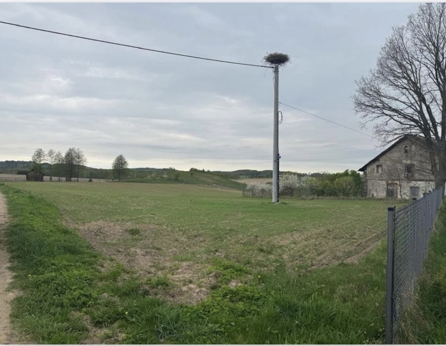 Działka 5130 m² z WZ – Kłębowo, 6 km od Lidzbarka