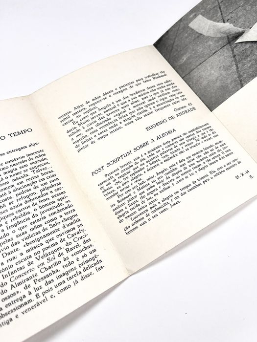 Ângelo de Sousa Galeria Buchholz 1968
