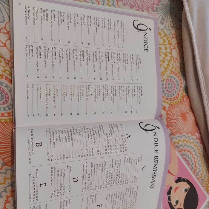 Livros Agenda Grávida + Receitas Saudáveis