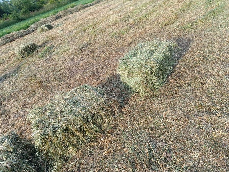 Продам сіно в тюках