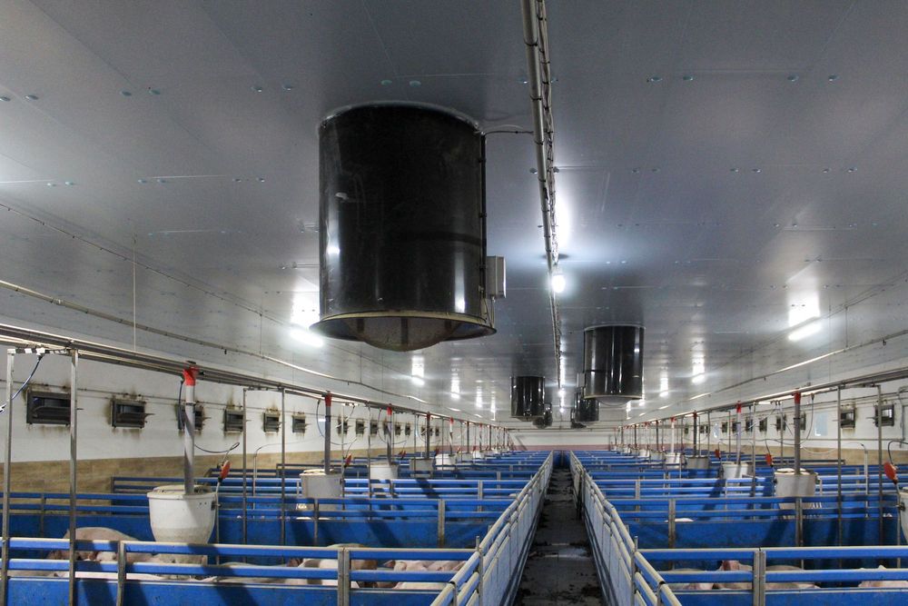 Ocieplenie do Obór Kurników Tuczarni Chlewni Hali Styrodur XPS AGRO