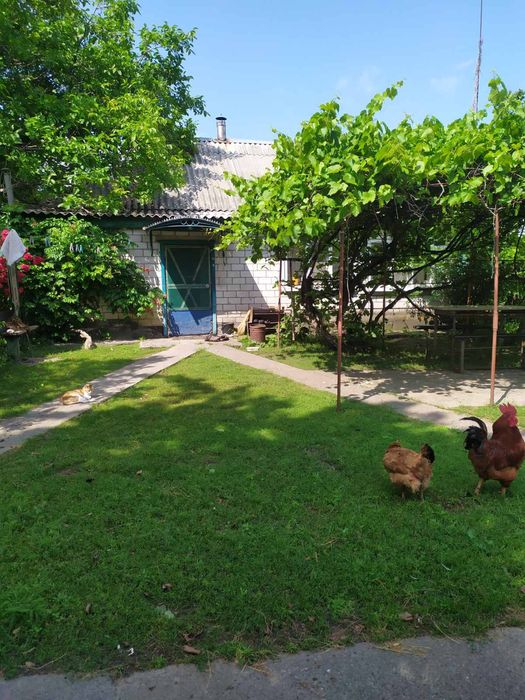 Продам Дом село Пришиб