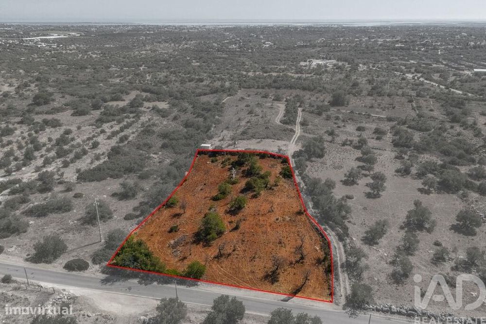Terreno em Conceição e Estoi de 5480,00 m2