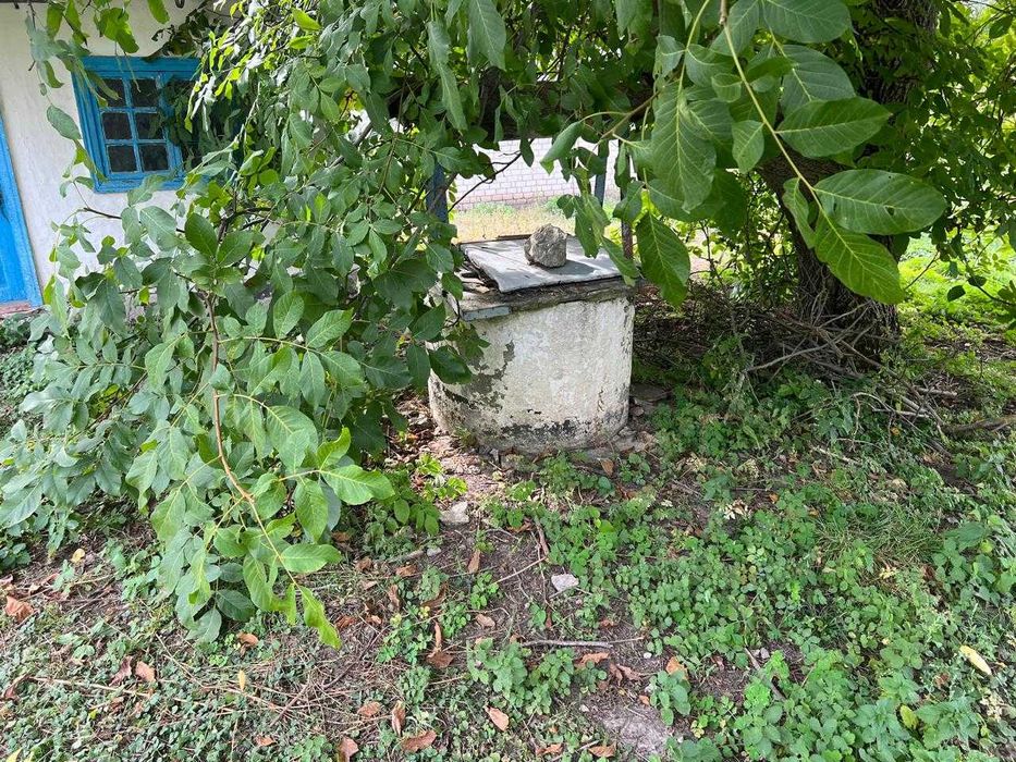 Будинок,Вільшана,земельна ділянка