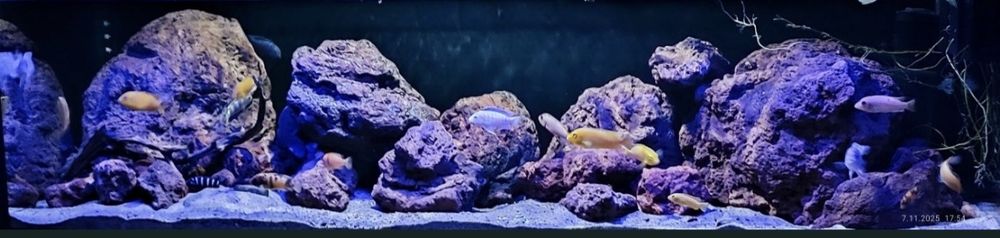 Lava wulkaniczna skały głazy kamienie akwarium