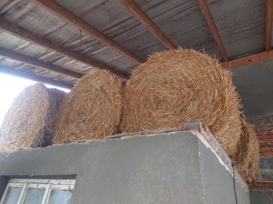 Słoma bele po prasie pasowej