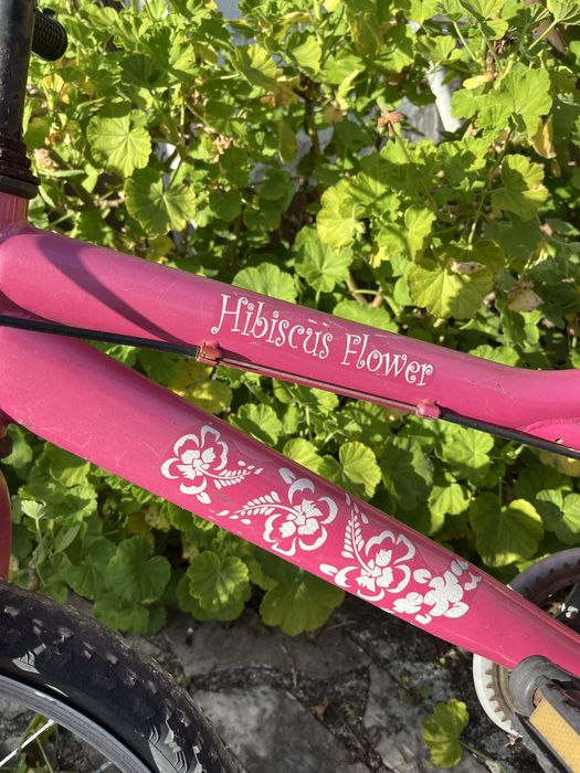 Bicicleta de criança