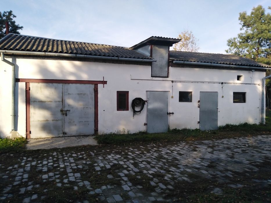 Dom – Wólka Abramowicka - Widok 5