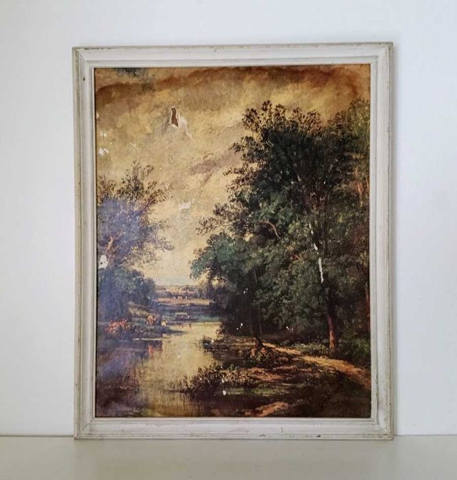 Quadro século XX com ilustração antiga de natureza