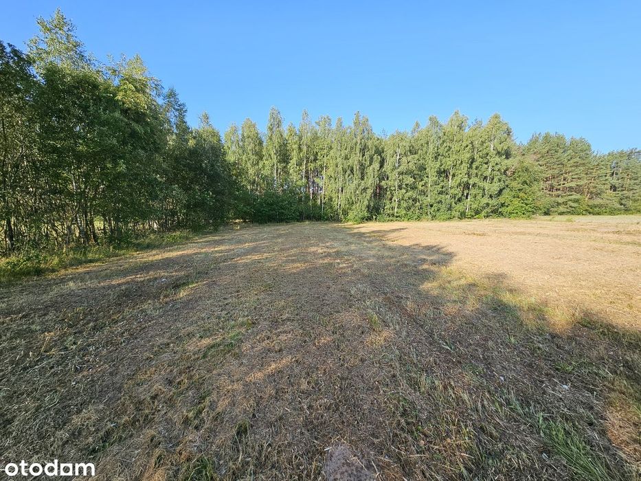 Działka 7499 M² Nad Zalewem Bachmaty Warunki Zabudowy Brak Sąsiadów - Więcej