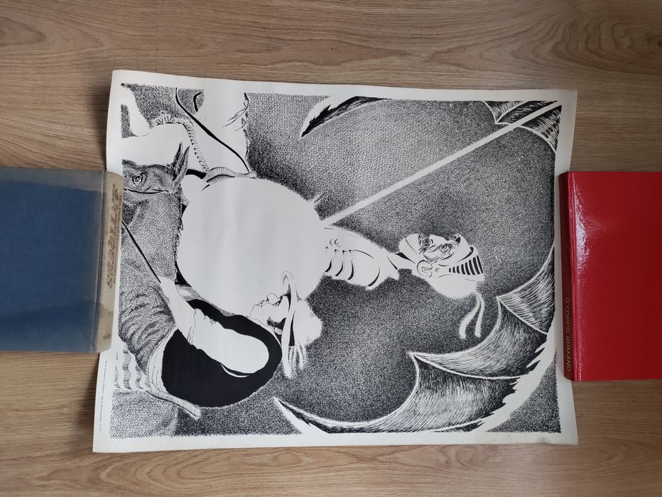 Xilogravura Dom Quixote