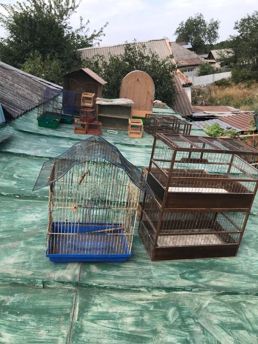 Клітки для птахів різного призначення та розміру