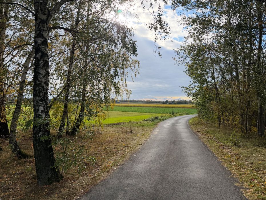 Działka siedliskowa MPZP Drzewce Lipce Reymontowskie. Plan ogólny przeznaczenie pod farmę PV