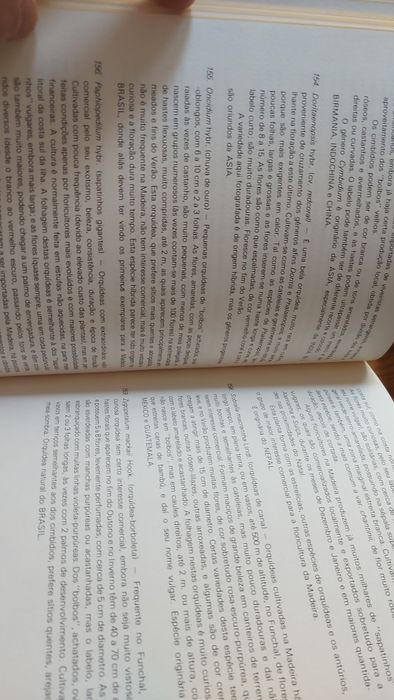 Flores da Madeira de Rui Vieira