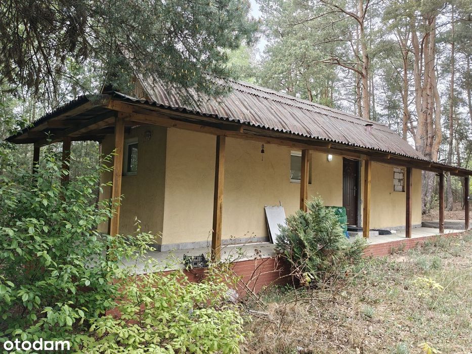 Syndyk sprzeda - Łacha