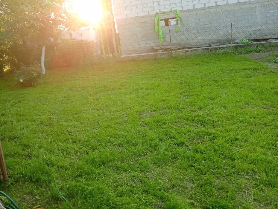 Дача " Промінь"  земельна ділянка