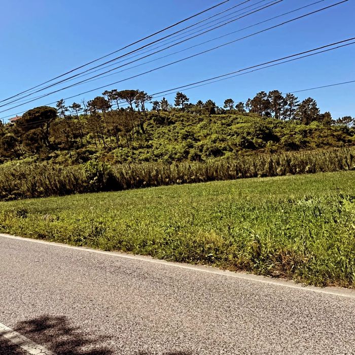 Proprietário vende terreno ( Póvoa da galega)