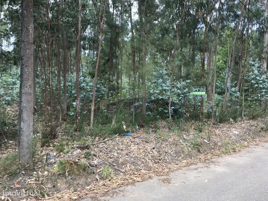 Terreno para Venda em São Pedro da Torre
