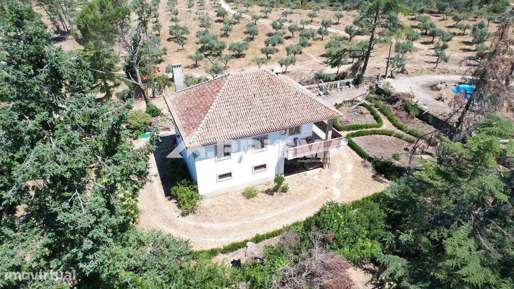 Herdade para Venda em Castelo Branco
