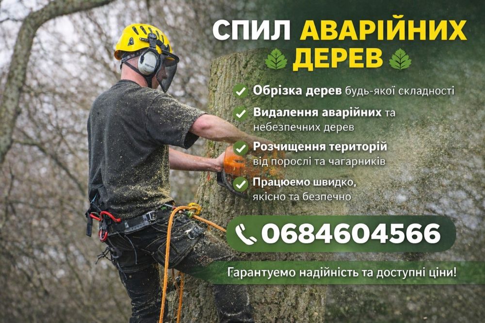 Аварійний спил дерев,розчистка тереторій