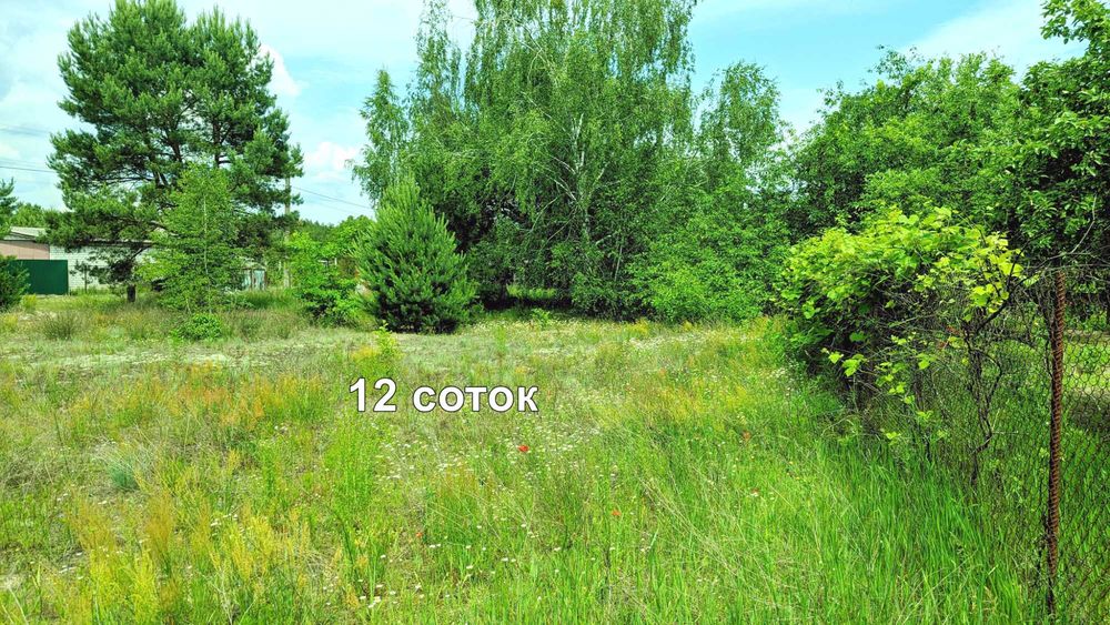 Ділянка з усіма комунікаціями в садовому товаристві, 45 км від Києва