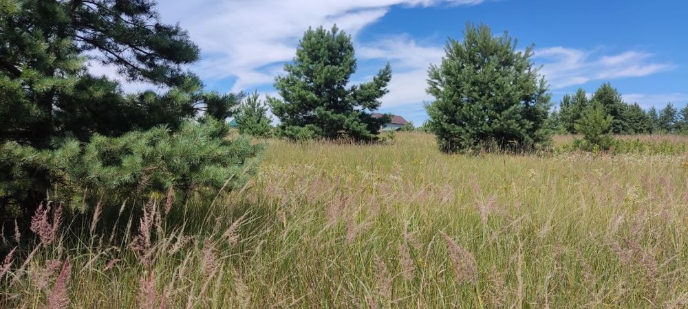 Продам земельну ділянку с. Литвинівка