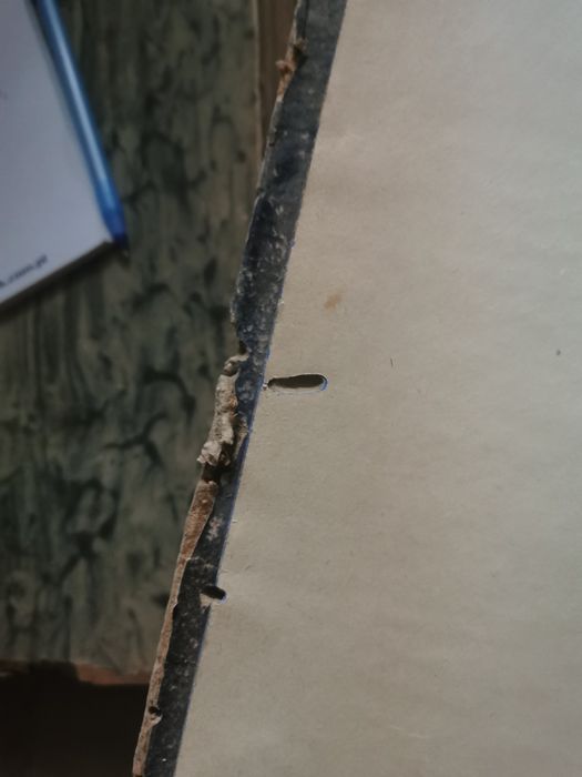 Rocznik czasopisma Tęcza 1929