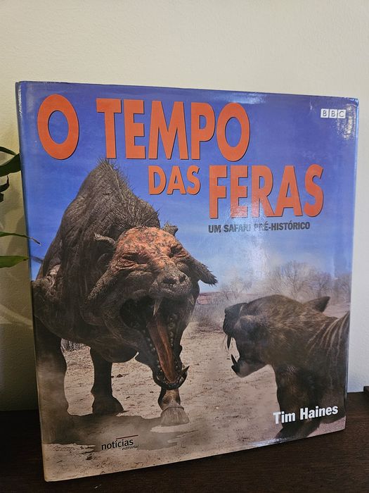 O tempo das feras