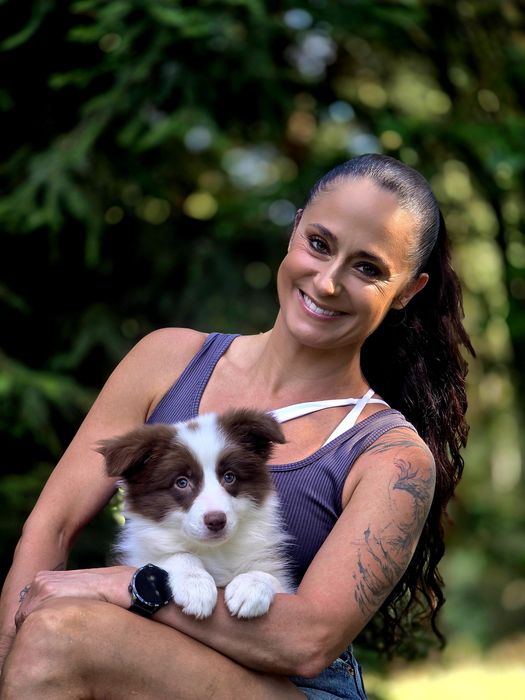 Czekoladowa piękność Border Collie – Kauri Whisper