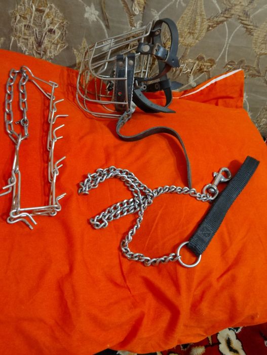 Поводок, ошейник, намордник