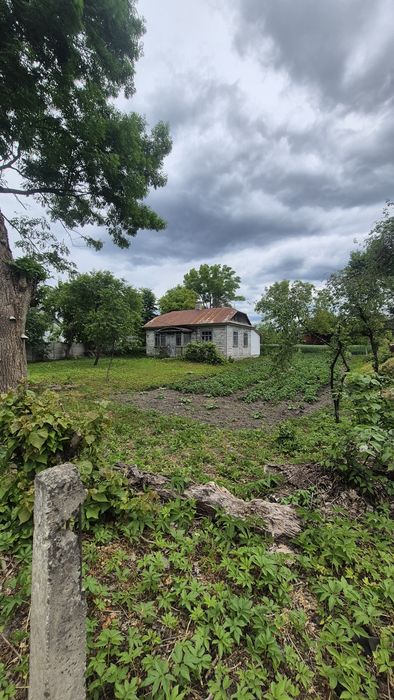 Продам хорошу ділянку в центрі с.Олександрія - More