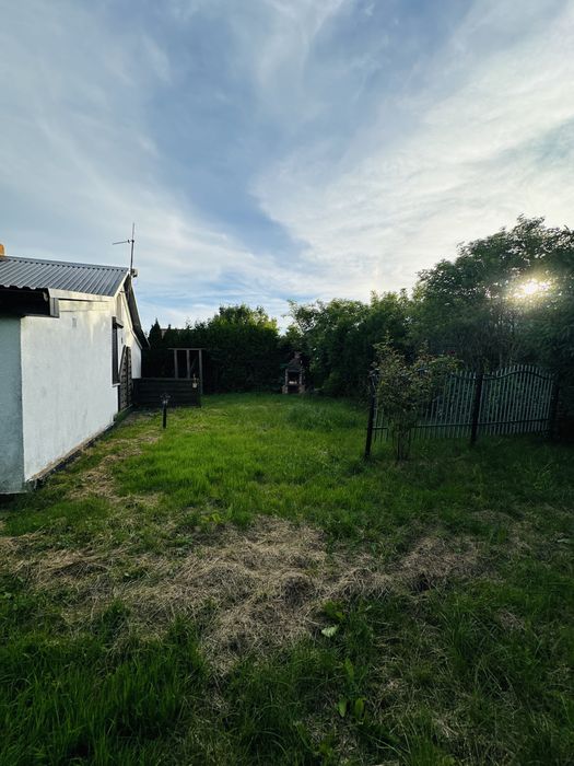 Dzialka w Dąbiu ROD„Nowe osiedle” - Widok 4