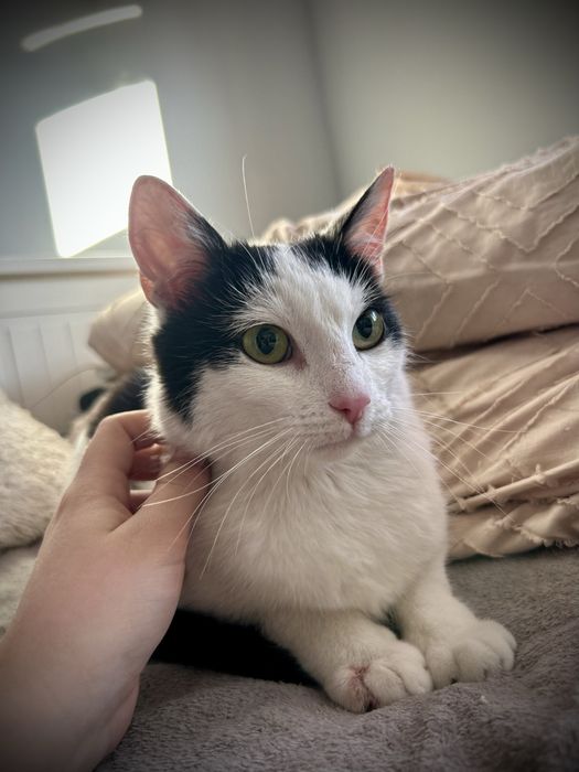 Bydgoszcz/ Cześć. Jestem Tobi…