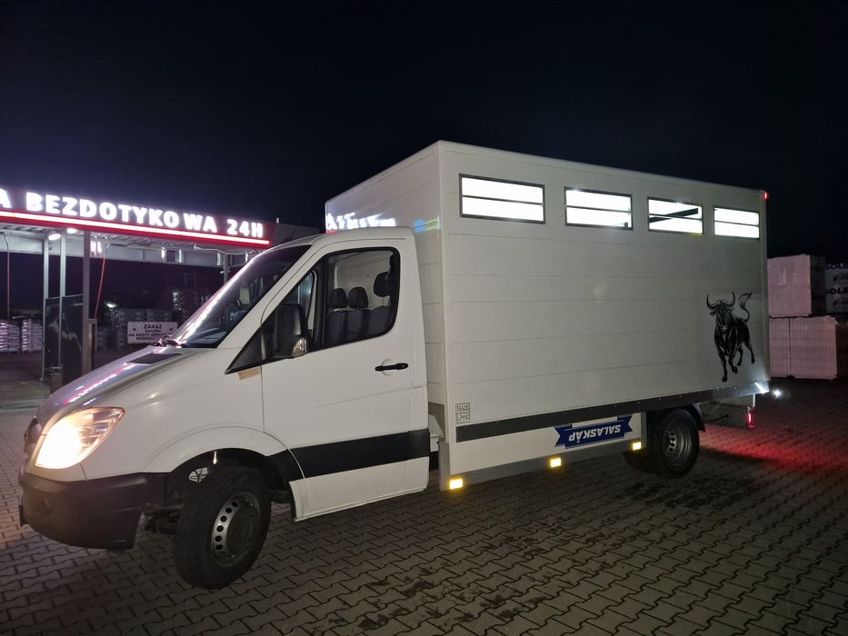Sprinter do transportu zwierząt zywca bydła
