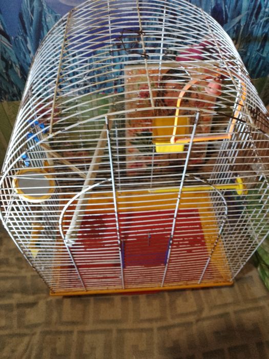 Клітка для папуги