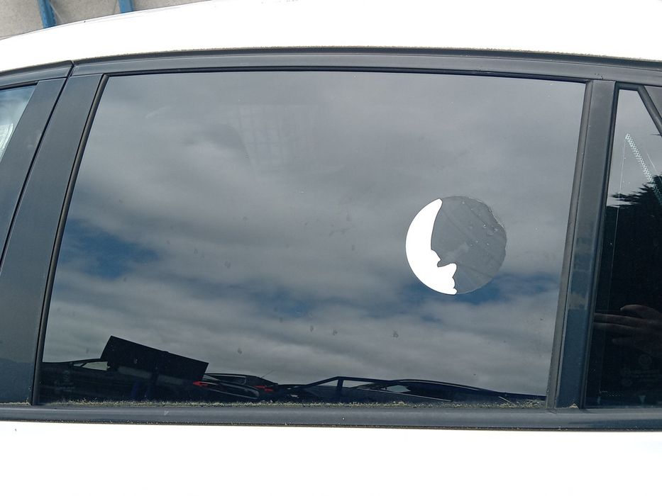 Vidro porta trás esquerdo BMW X6 (E71, E72)